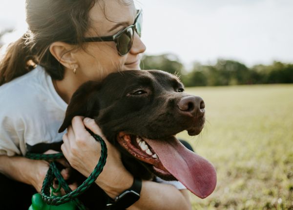 Understanding your pets' needs for better health and happiness